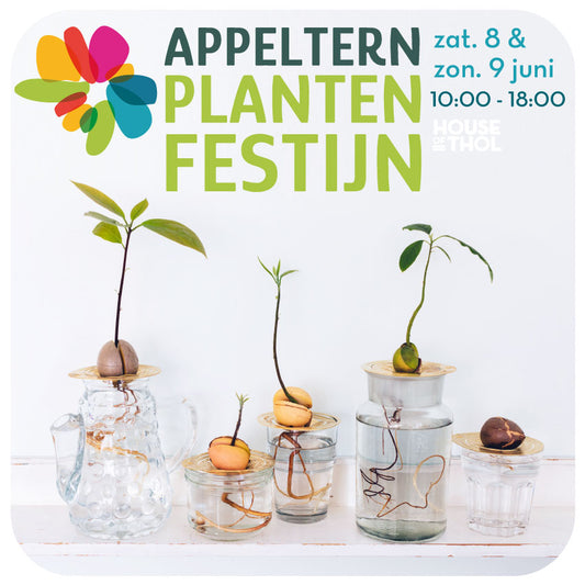 08.06.2024 Plantenfestijn Appeltern