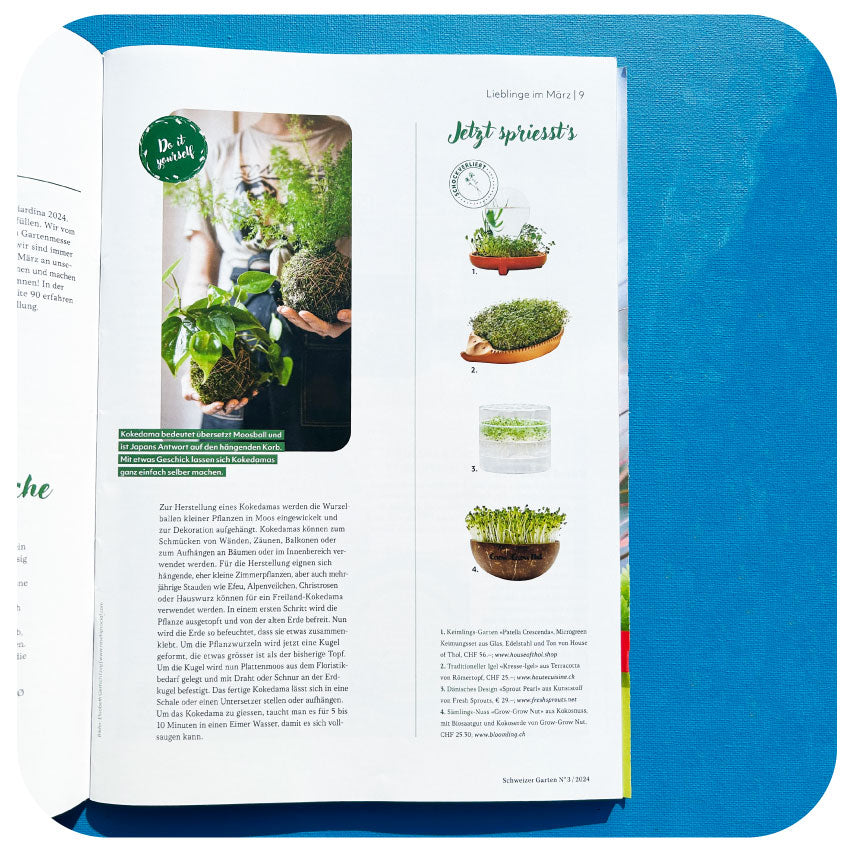 Patella Crescenda in Swiss gardening magazine Schweizer Garten