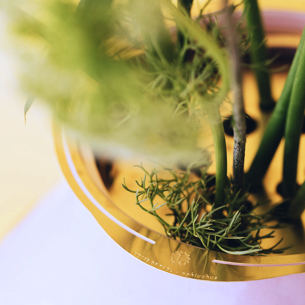 Close up of the Ophiuchus / Flower Constellation XL - flower tools for effortless arrangements with fewer flowers - design by House of Thol / Photograph by Masha Bakker
