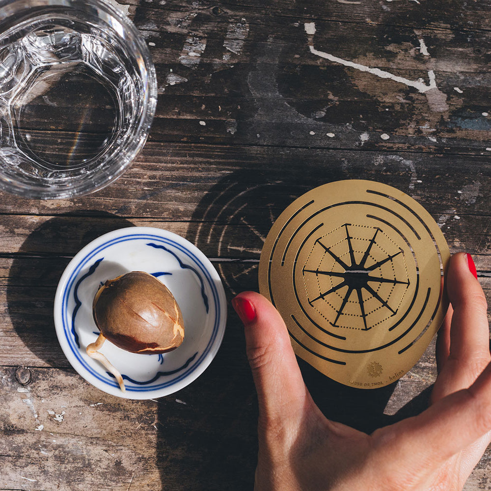 Preparing the Brass propagation disk Helios - design by House of Thol / photograph by Masha Bakker photography