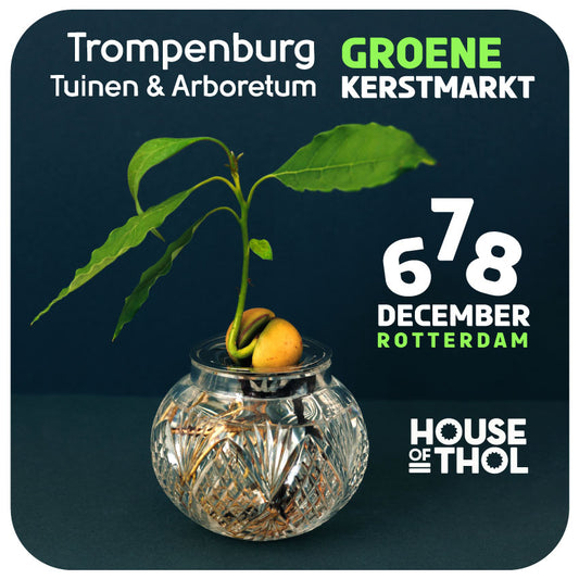 06.12-08.12 Groene Kerstmarkt Trompenburg