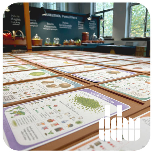 Looking back at DDW 2025