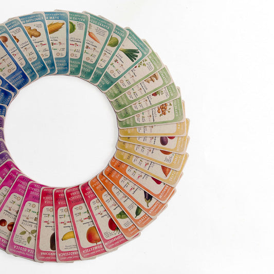 NEW: Cibus Domus Quartet