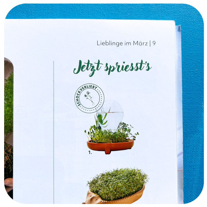 Patella Crescenda in Swiss gardening magazine Schweizer Garten