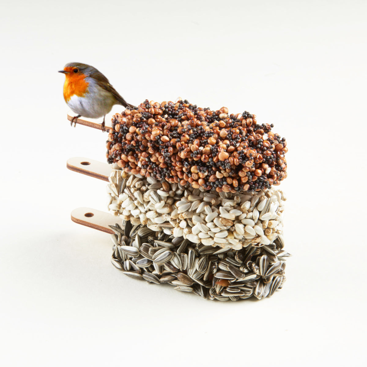 Deserts for birds, Carmela Bogman