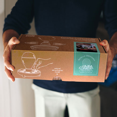 Patella Crescenda packaging made in the Netherlands from recycled cardboard - natural microgreen sprouting set by House of Thol