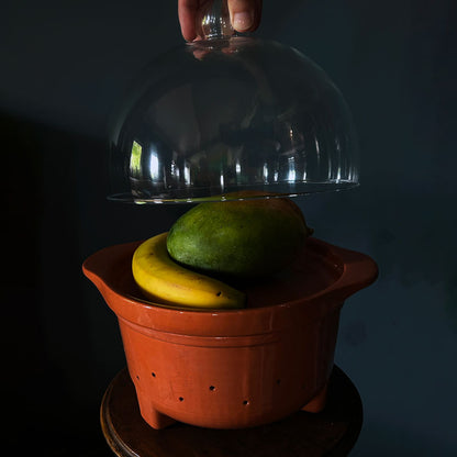 A terracotta ceramic fruit basket with a matching clear glass dome lid, shown with a banana and green mango inside. A hand is visible holding the top knob of the dome lid against a dark background.
