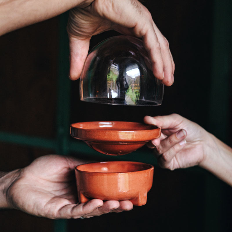 Patina Germina Sprouting Set