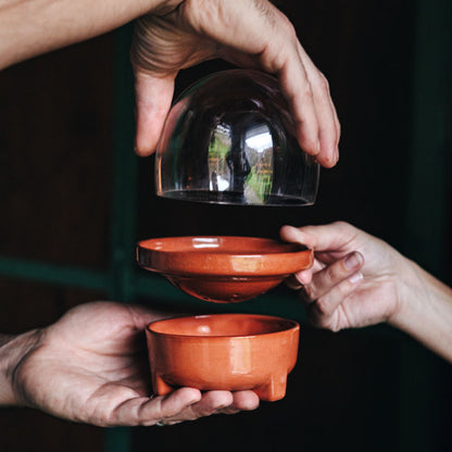 Patina Germina Sprouting Set