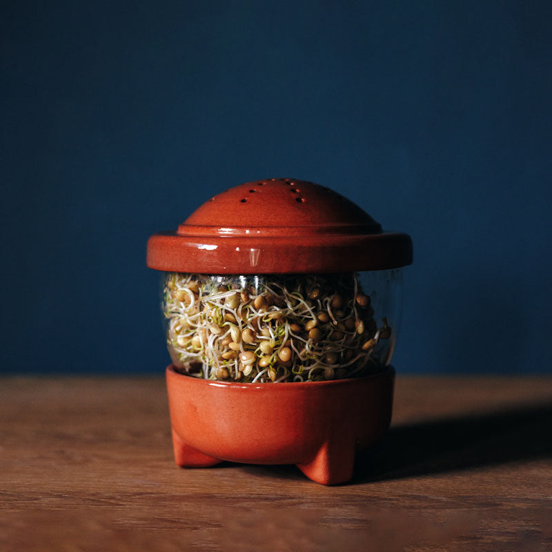 Patina Germina Sprouting Set