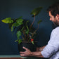 Thomas placing a potted plant with a Waterworks set - Waterworks watering globe for houseplants - design by House of Thol / photograph by Masha Bakker photography