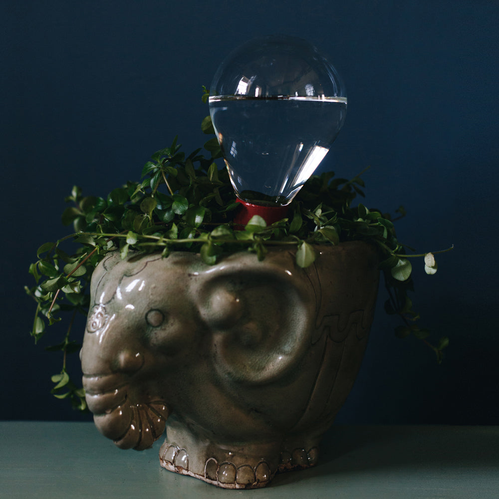 Waterworks set in vintage elephant pot - Waterworks watering system for houseplants - Design by House of Thol / Photograph by Masha Bakker photography