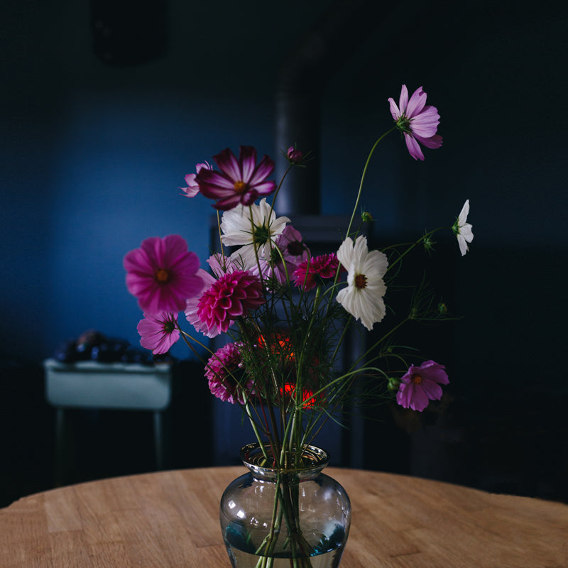 Cosmea bouquet arranged with the Flower Constellation M - brass flower tools designed by House of Thol / photograph by Masha Bakker