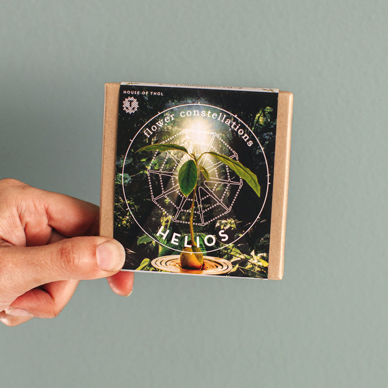 Packaging of Brass propagation disk Helios - design by House of Thol / photograph by Masha Bakker photography